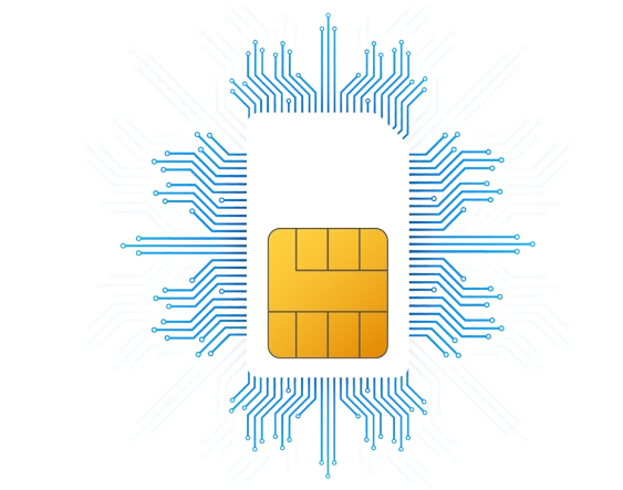 Sim Owner Details